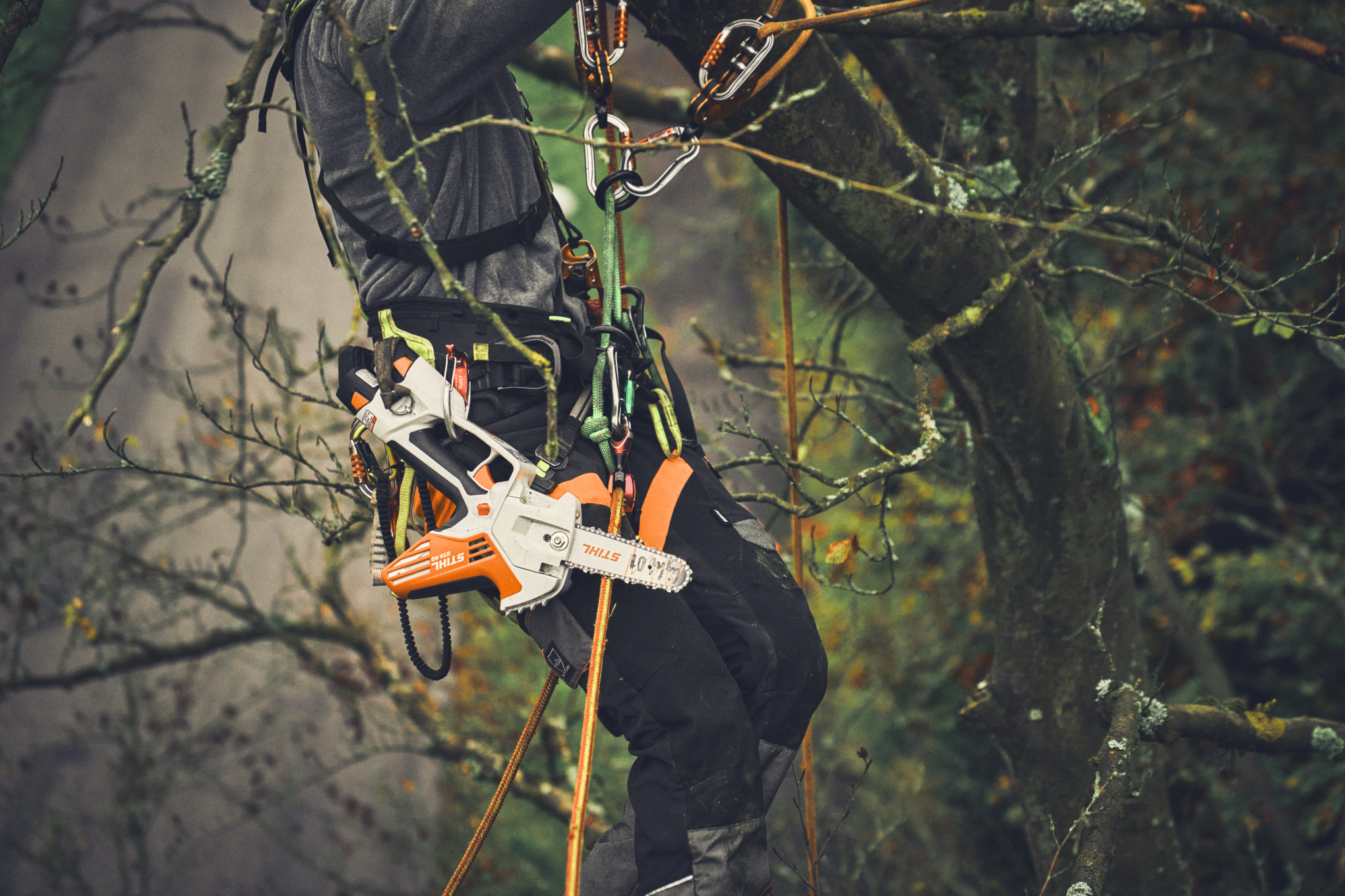 Homme grimpant à un arbre avec une scie de jardin à batterie STIHL GTA 40